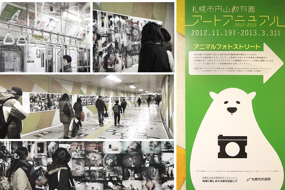 Art Annual of Maruyama zoo